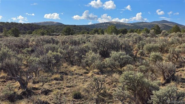 Lot 7340 Sweaney Road, Fort Garland, CO 81133
