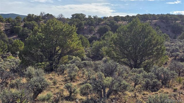 Lot 7340 Sweaney Road, Fort Garland, CO 81133