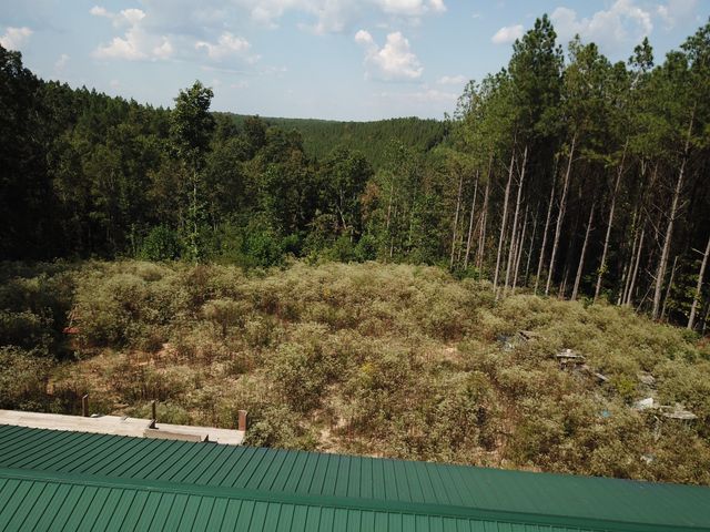 1661 Sassafras Stand Ridge Rd, Linden, TN 37096