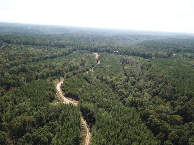 1661 Sassafras Stand Ridge Rd, Linden, TN 37096