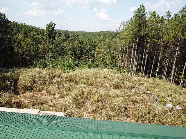 1661 Sassafras Stand Ridge Rd, Linden, TN 37096