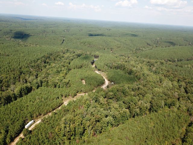 1661 Sassafras Stand Ridge Rd, Linden, TN 37096