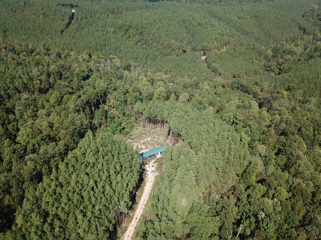 1661 Sassafras Stand Ridge Rd, Linden, TN 37096