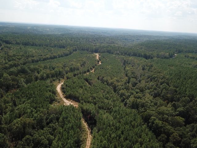 1661 Sassafras Stand Ridge Rd, Linden, TN 37096