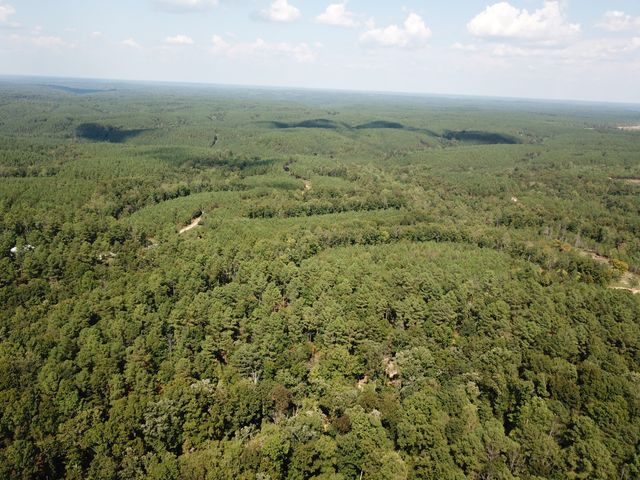 1661 Sassafras Stand Ridge Rd, Linden, TN 37096