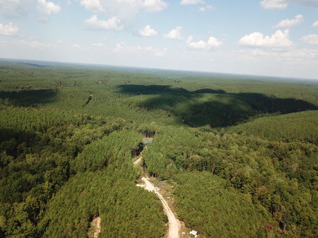 1661 Sassafras Stand Ridge Rd, Linden, TN 37096