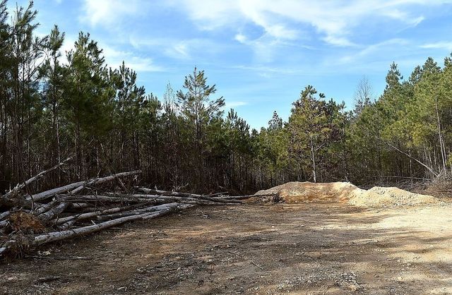 1661 Sassafras Stand Ridge Rd, Linden, TN 37096