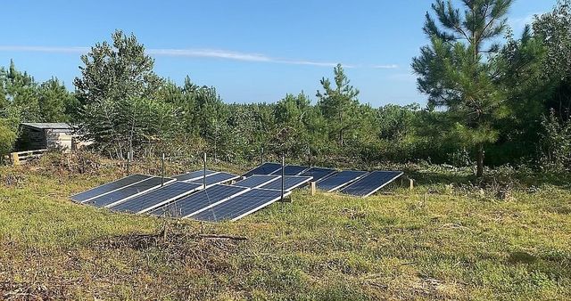 1661 Sassafras Stand Ridge Rd, Linden, TN 37096