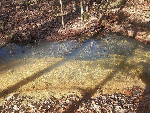 1661 Sassafras Stand Ridge Rd, Linden, TN 37096