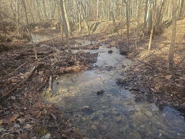 1661 Sassafras Stand Ridge Rd, Linden, TN 37096