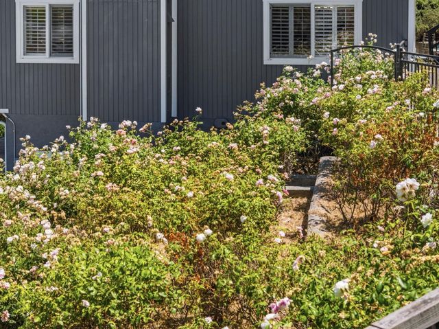 732 Colleen Drive, San Jose, CA 95123