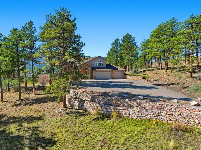 725 Buddy Road, Bailey, CO 80421