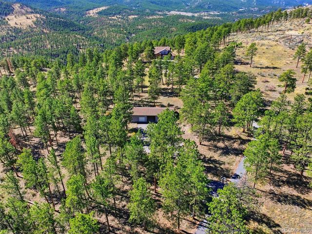 725 Buddy Road, Bailey, CO 80421