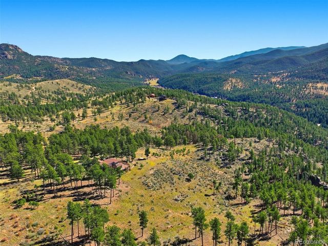 725 Buddy Road, Bailey, CO 80421