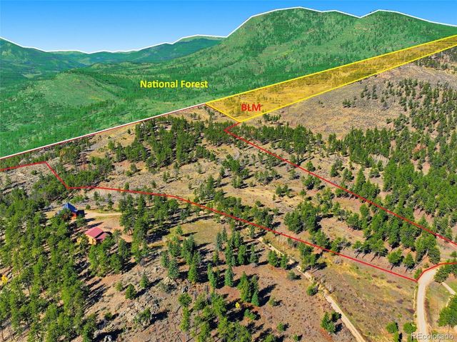 725 Buddy Road, Bailey, CO 80421