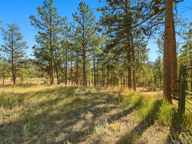 725 Buddy Road, Bailey, CO 80421