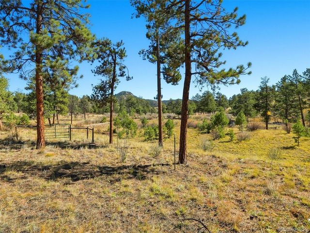 725 Buddy Road, Bailey, CO 80421