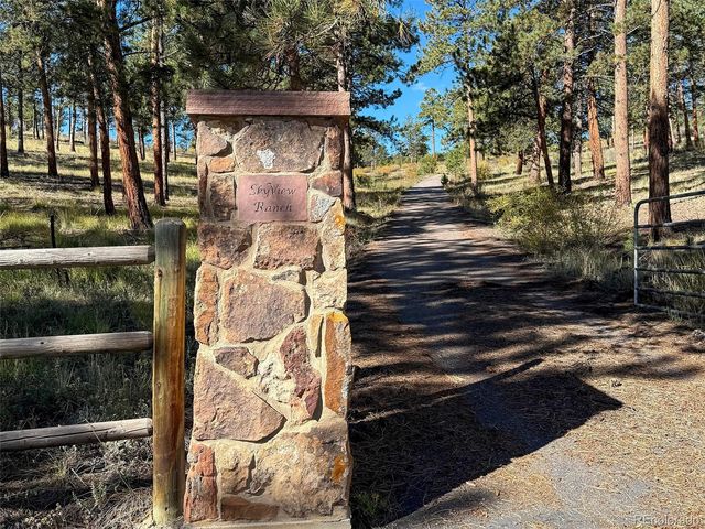 725 Buddy Road, Bailey, CO 80421