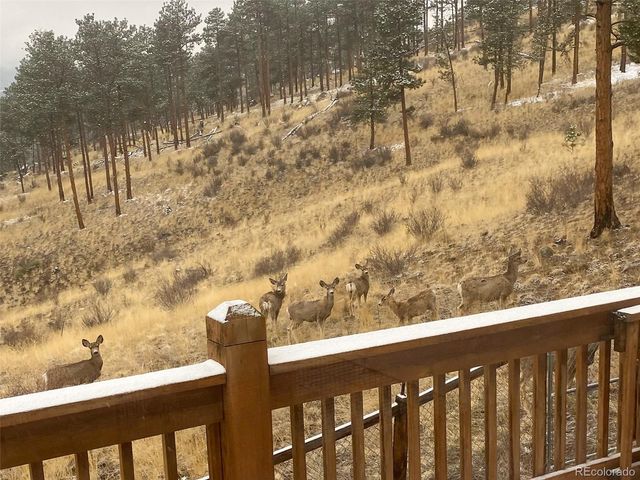 725 Buddy Road, Bailey, CO 80421