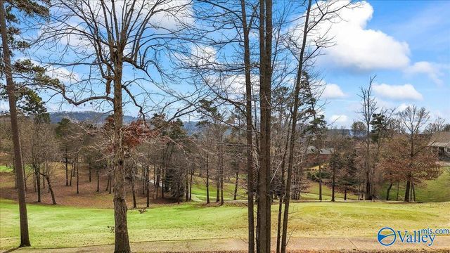 402 Whistling Straits Way, Guntersville, AL 35976