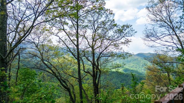 1602 Forest Run Road, Whittier, NC 28789
