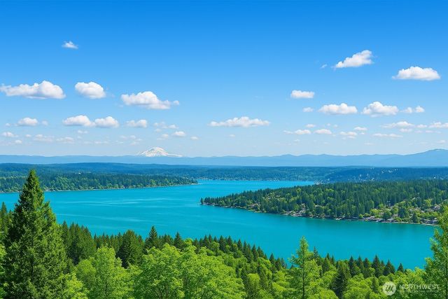 180 XX SE 60th St, Issaquah, WA 98027