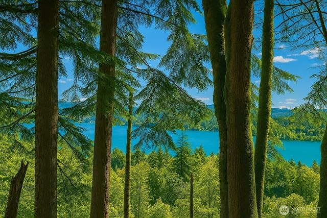 180 XX SE 60th St, Issaquah, WA 98027