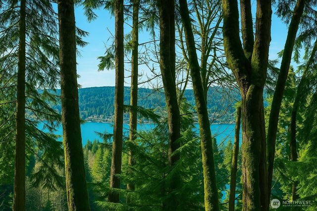 180 XX SE 60th St, Issaquah, WA 98027