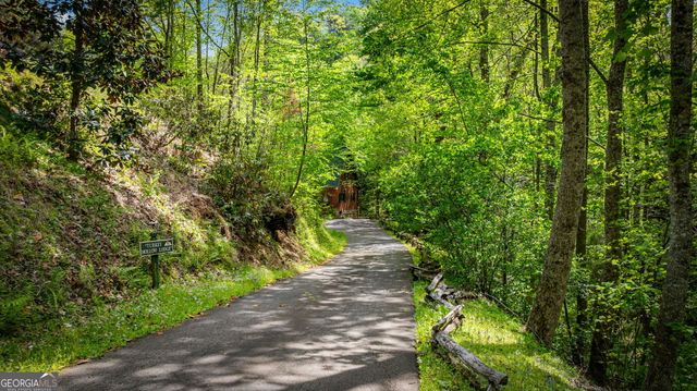 180 Down Under Road, Blue Ridge, GA 30513