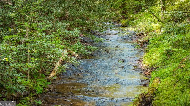 180 Down Under Road, Blue Ridge, GA 30513