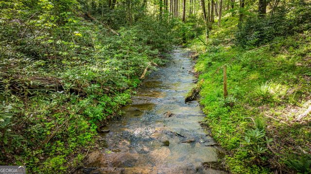 180 Down Under Road, Blue Ridge, GA 30513