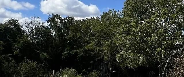 2233 N La Salle Street, Navasota, TX 77868