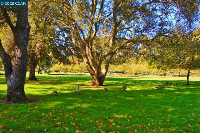 1332 Canyonwood Ct 2, Walnut Creek, CA 94595