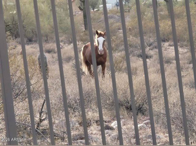 5934 E REDMONT Drive, Mesa, AZ 85215