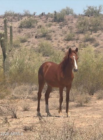 5934 E REDMONT Drive, Mesa, AZ 85215