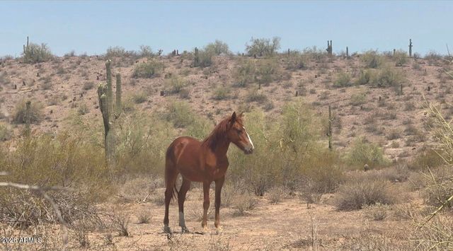5934 E REDMONT Drive, Mesa, AZ 85215