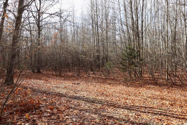 6495 Jackson Avenue, Lake, MI 48632