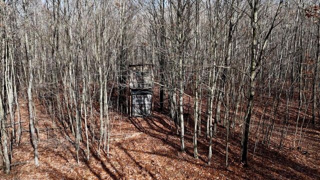 6495 Jackson Avenue, Lake, MI 48632