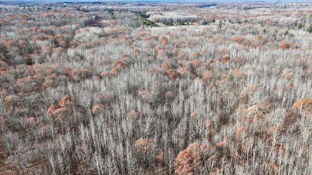 6495 Jackson Avenue, Lake, MI 48632