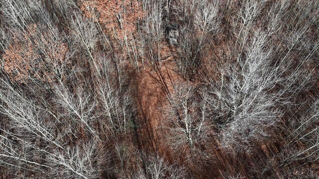 6495 Jackson Avenue, Lake, MI 48632