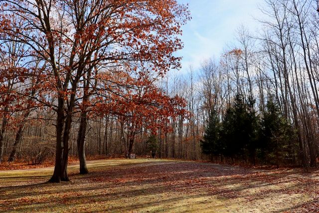 6495 Jackson Avenue, Lake, MI 48632