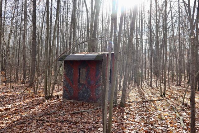 6495 Jackson Avenue, Lake, MI 48632