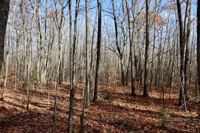 6495 Jackson Avenue, Lake, MI 48632