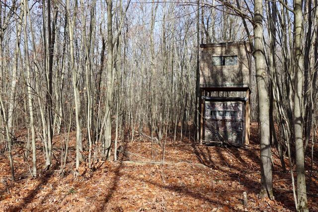 6495 Jackson Avenue, Lake, MI 48632