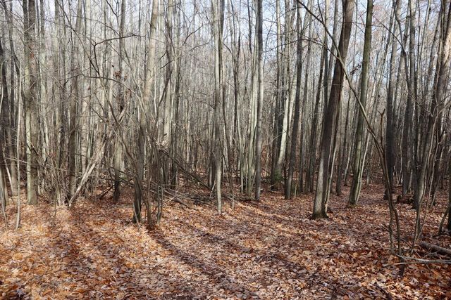 6495 Jackson Avenue, Lake, MI 48632