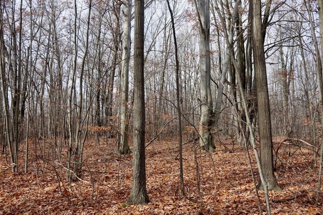 6495 Jackson Avenue, Lake, MI 48632