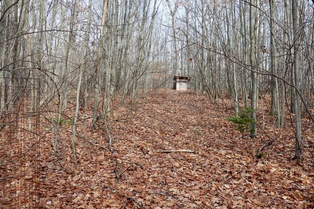 6495 Jackson Avenue, Lake, MI 48632