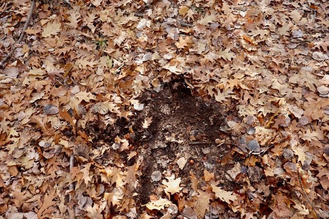 6495 Jackson Avenue, Lake, MI 48632