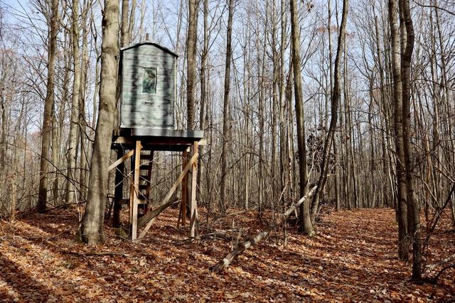 6495 Jackson Avenue, Lake, MI 48632