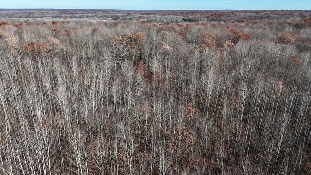 6495 Jackson Avenue, Lake, MI 48632